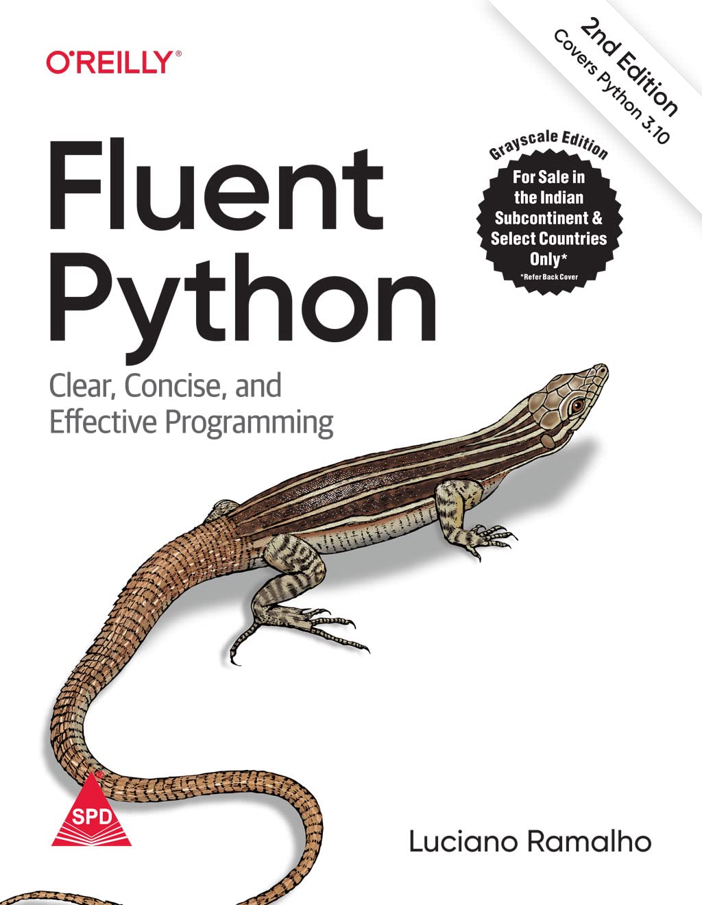 Clear Python. Fluent Python на русском.