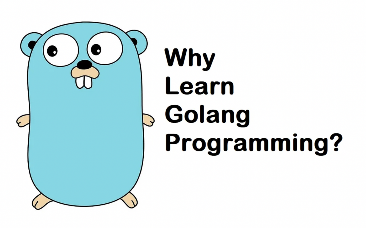 Is Golang Easy To Learn And Should You Learn Golang In 2024 GUVI Blogs   Screenshot 2023 03 21 At 9.32.10 AM 1200x748 