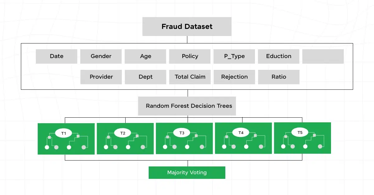 Healthcare and Fraud Detection