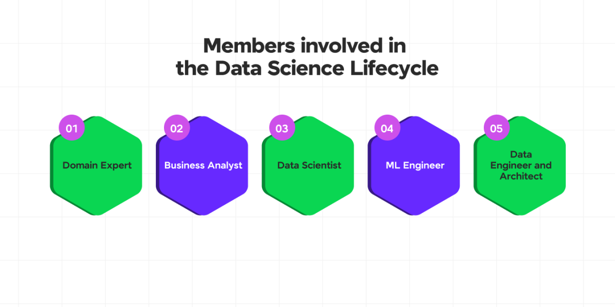 Members involved in the Data Science Lifecycle