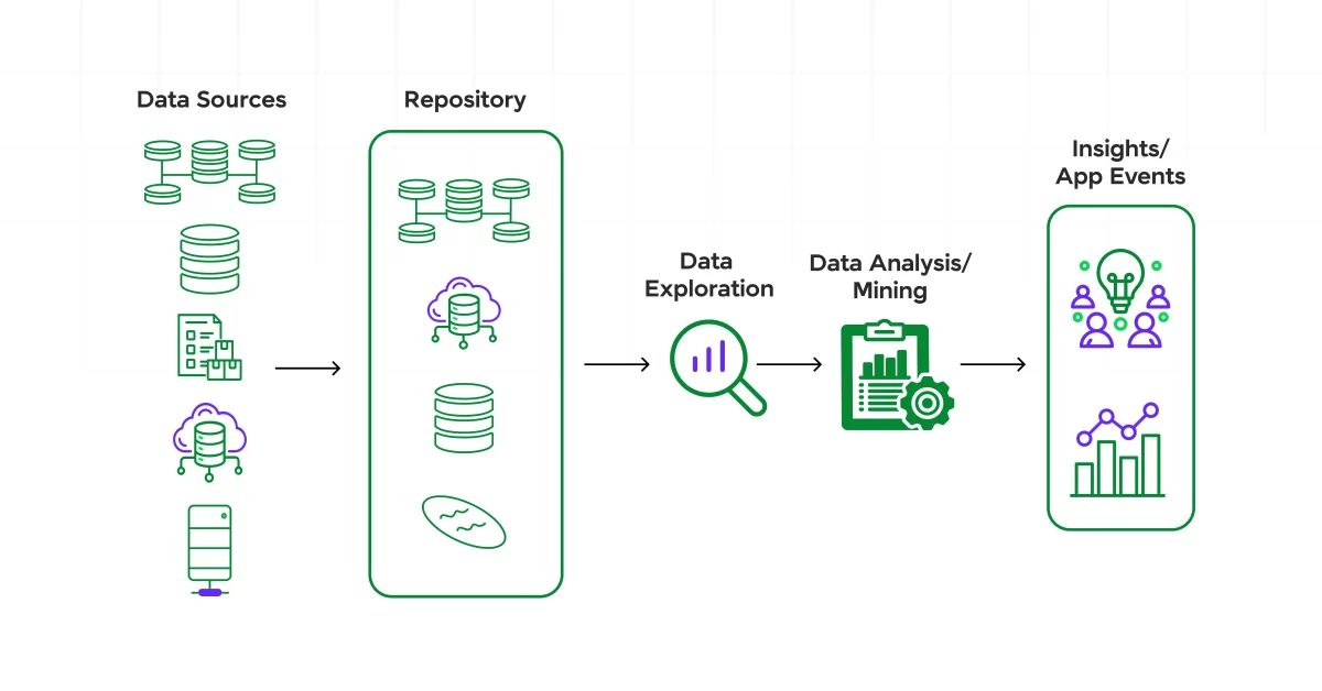 Data Exploration