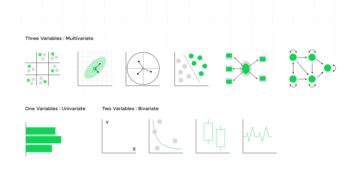 Exploratory Data Analysis