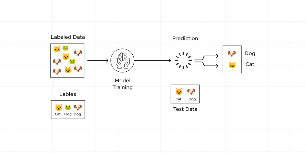 Data Science Projects