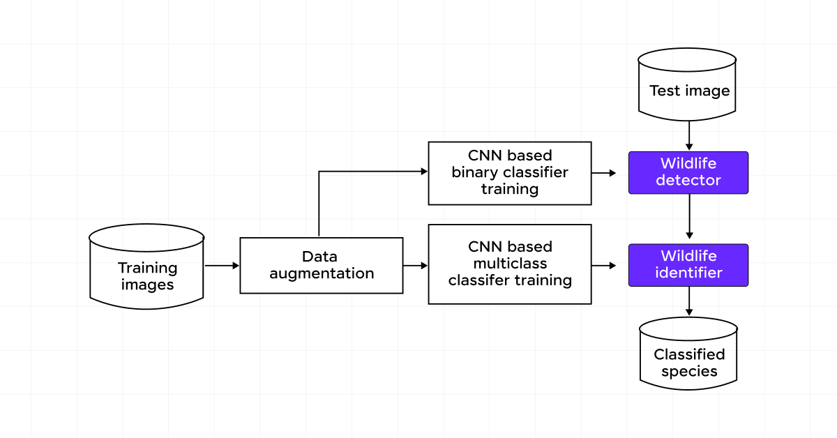 Wildlife Conservation with Image Recognition 