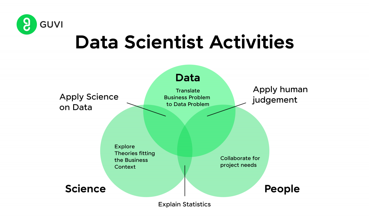 data scientist or data engineer