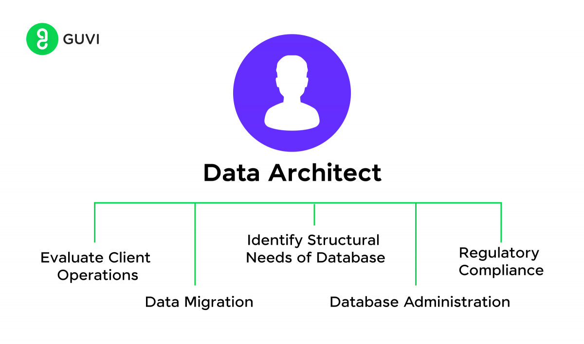 data architect