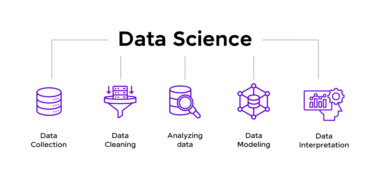 What does a Data Scientist Do?