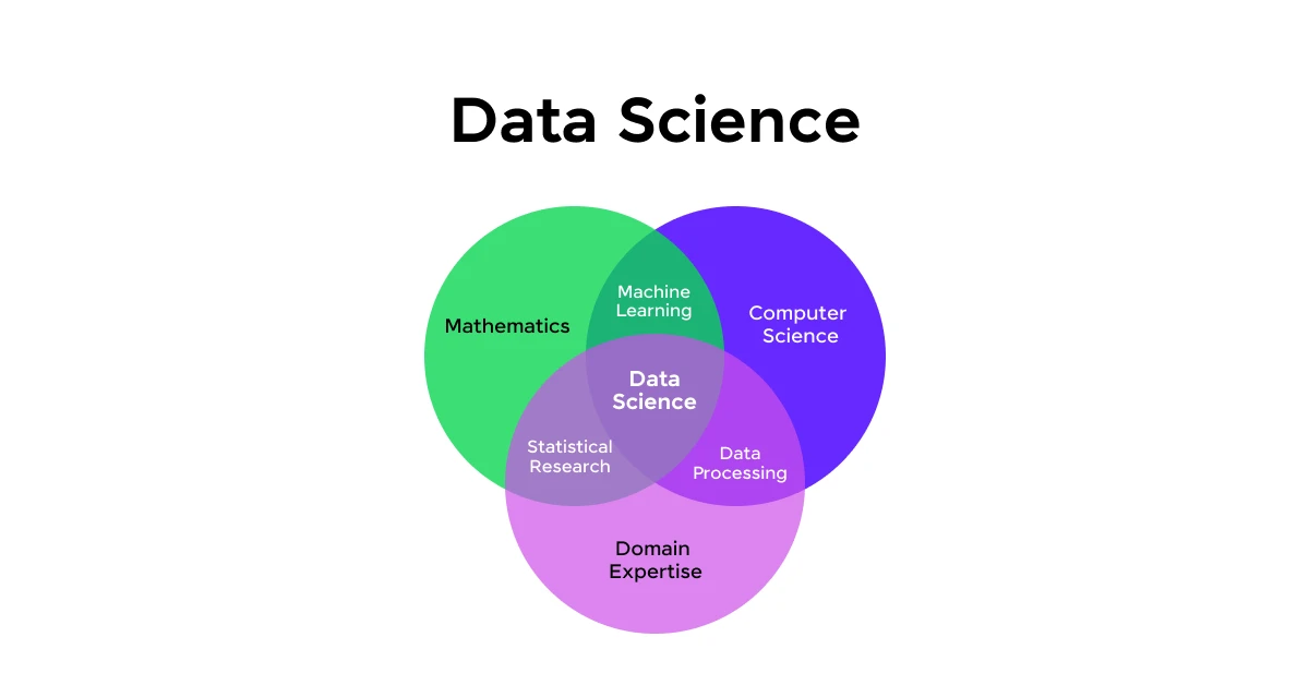 Who is a Data Scientist?