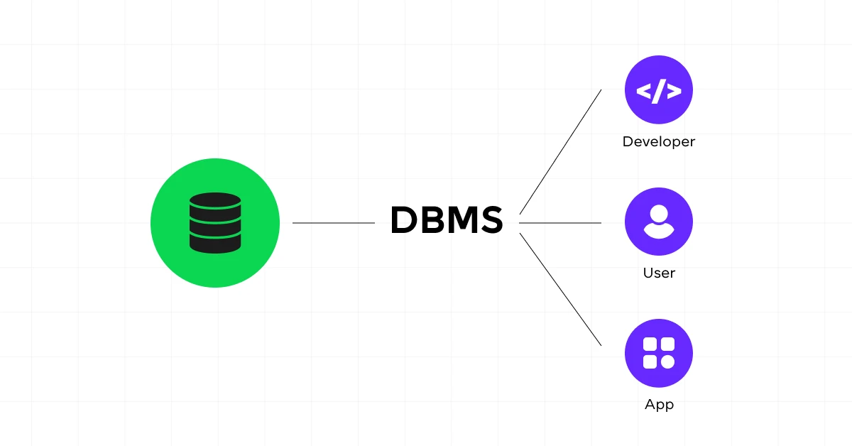 DBMS