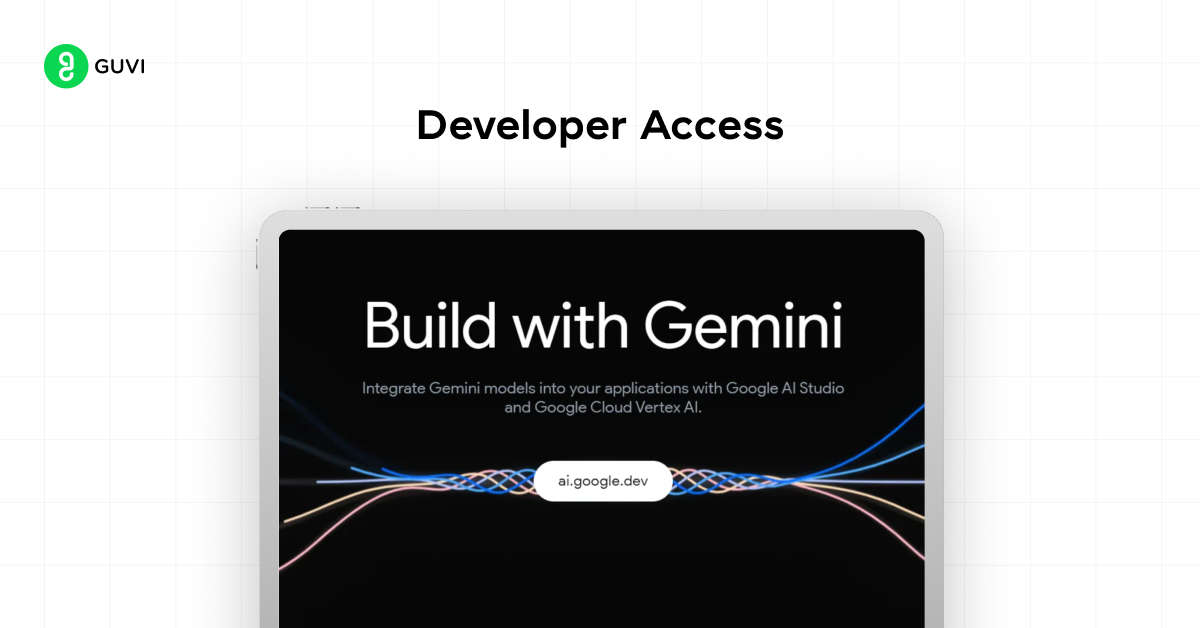 developer access