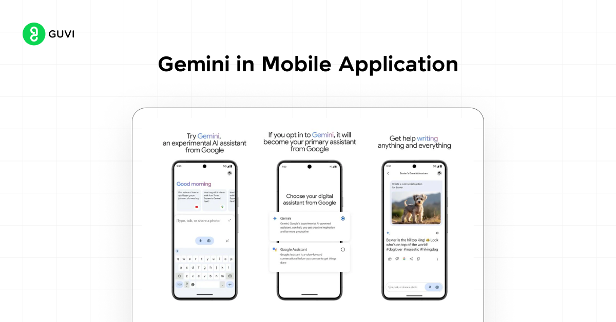 gemini in mobile application