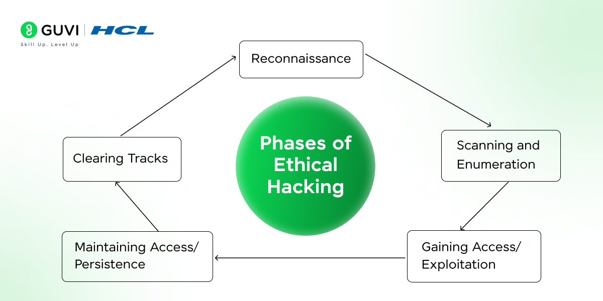  five basic stages of ethical hacking