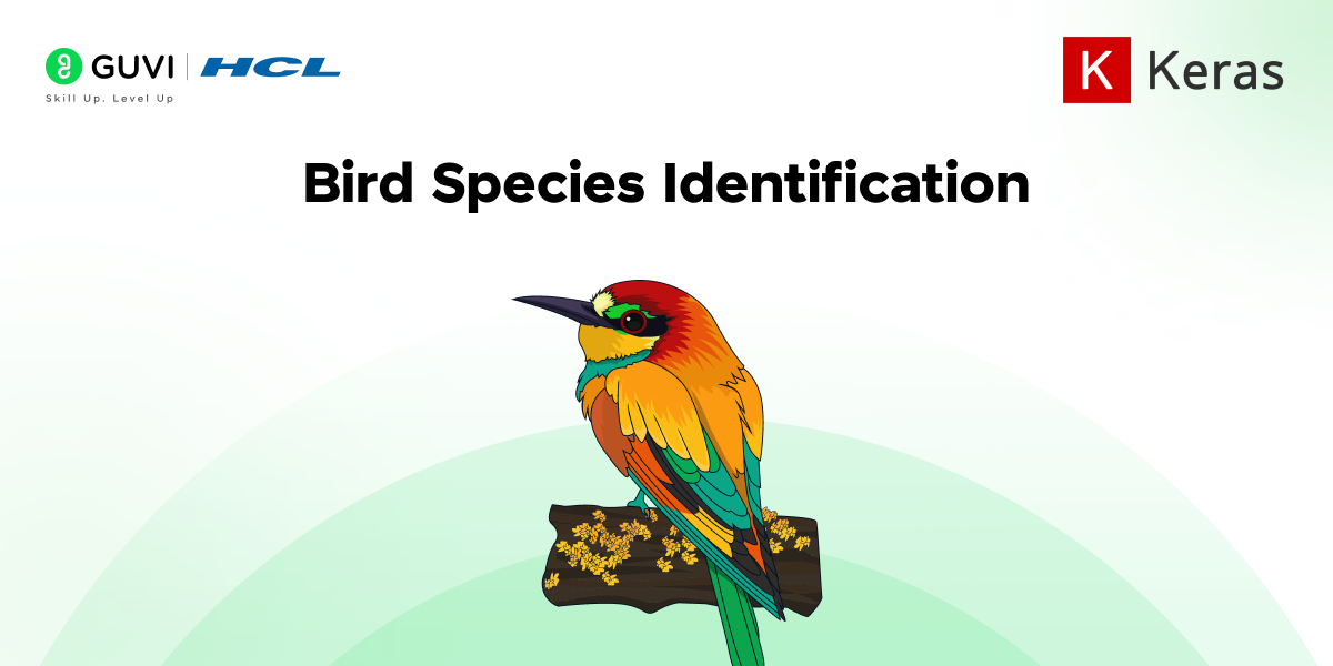 Bird Species Identification